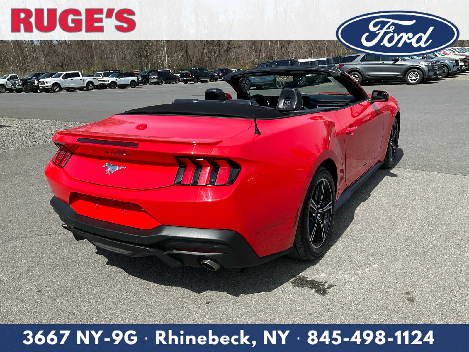 Used 2025 Ford Mustang Premium RWD image 3