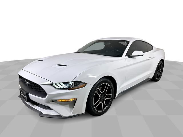 Used 2019 Ford Mustang Premium w/ Equipment Group 201A RWD image 1
