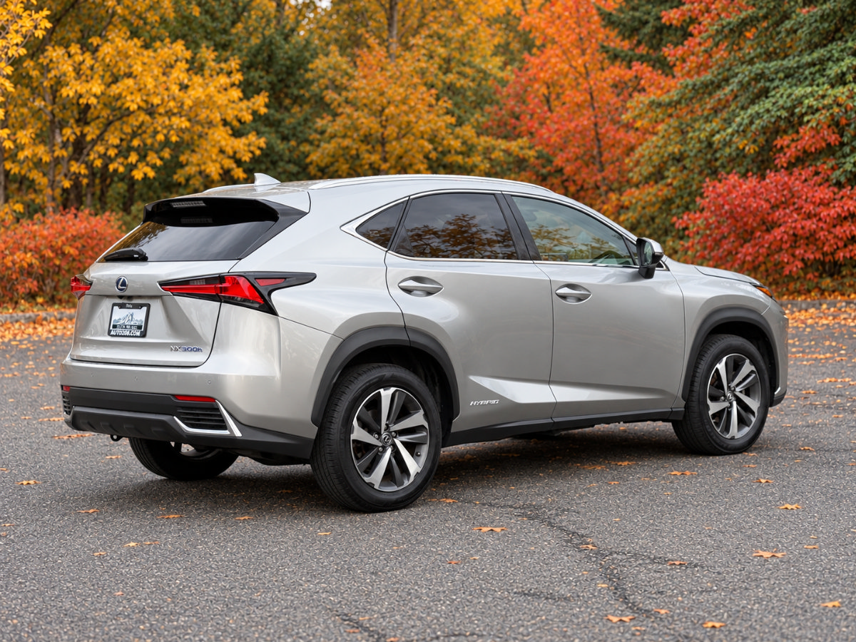 Used 2019 Lexus NX 300h AWD w/ Premium Package image 3