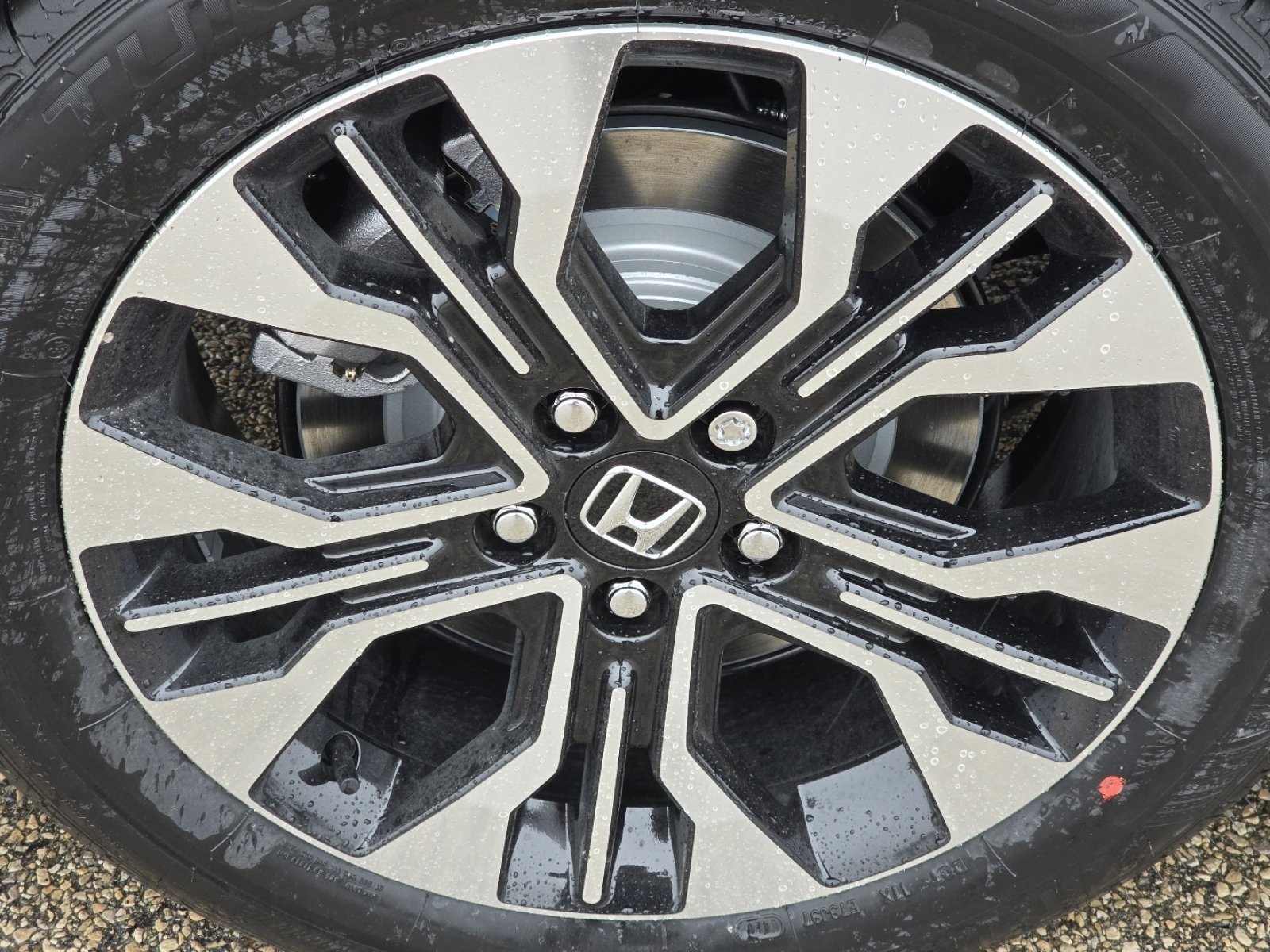 New 2026 Honda Odyssey Elite image 14