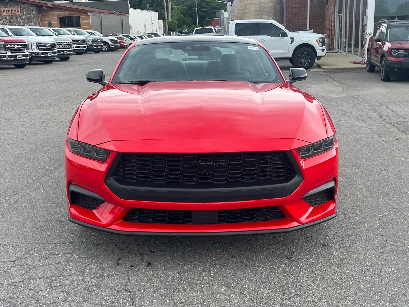 New 2026 Ford Mustang Coupe w/ Mustang Nite Pony Package RWD image 5