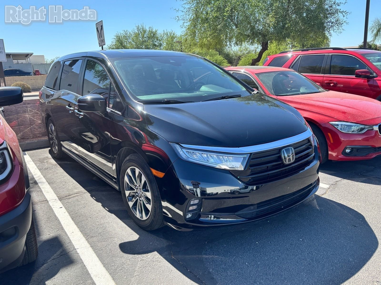 Used 2023 Honda Odyssey EX-L image 5
