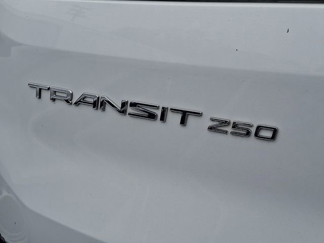 Used 2019 Ford Transit 250 130 Low Roof RWD image 13