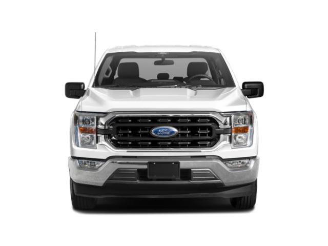 Used 2021 Ford F150 XLT w/ Equipment Group 302A High image 4