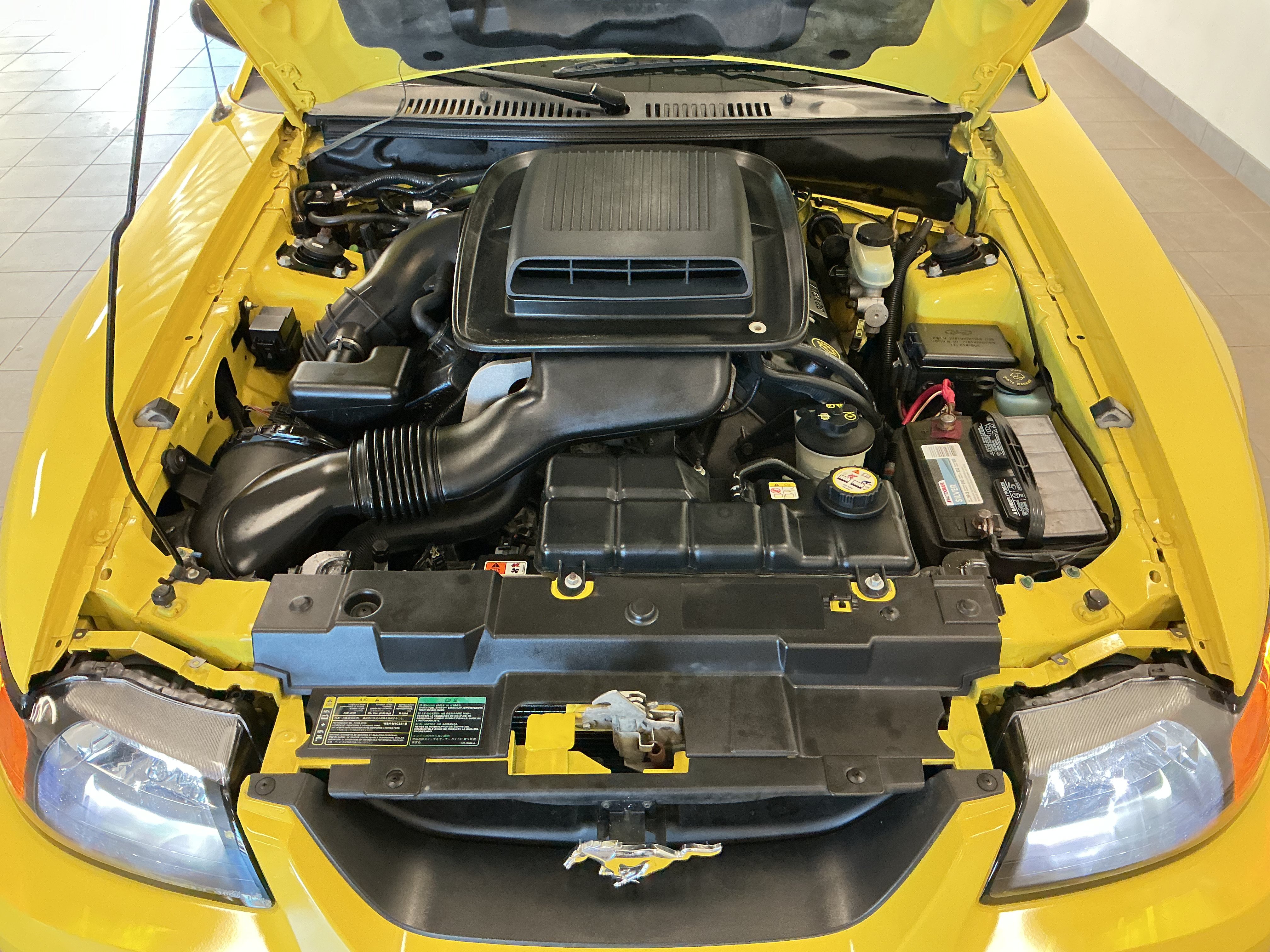 Used 2003 Ford Mustang Mach 1 RWD image 4
