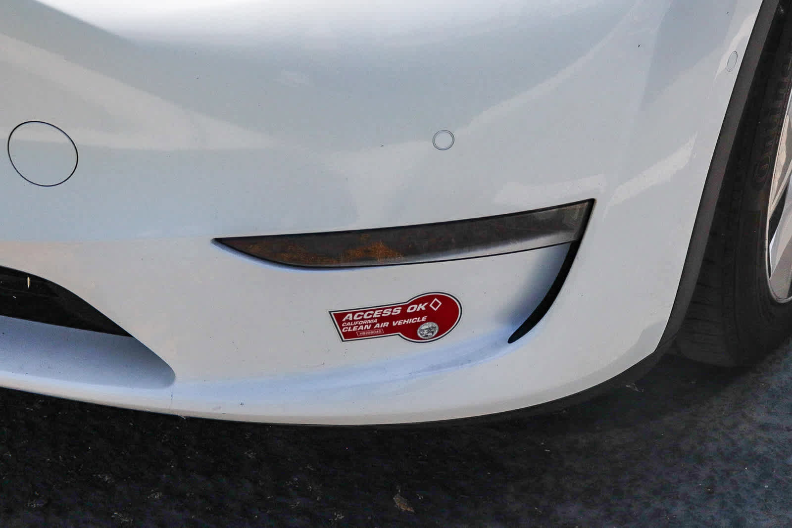 Used 2021 Tesla Model Y Long Range AWD/4WD image 4