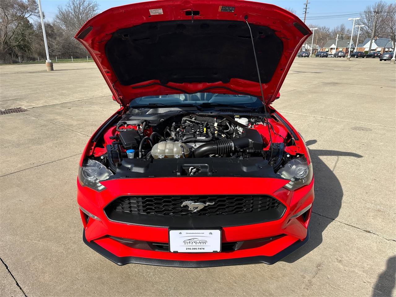 Used 2022 Ford Mustang Premium image 11
