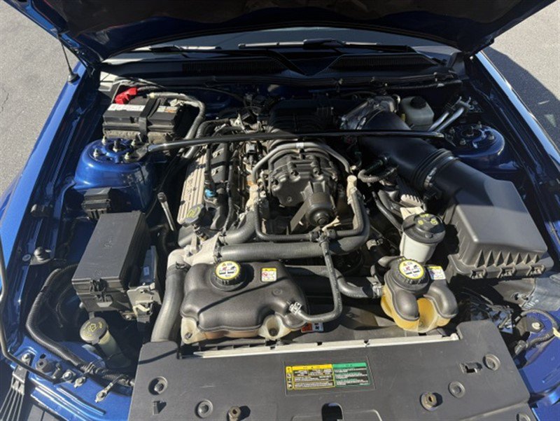 Used 2008 Ford Mustang Shelby GT500 RWD image 5