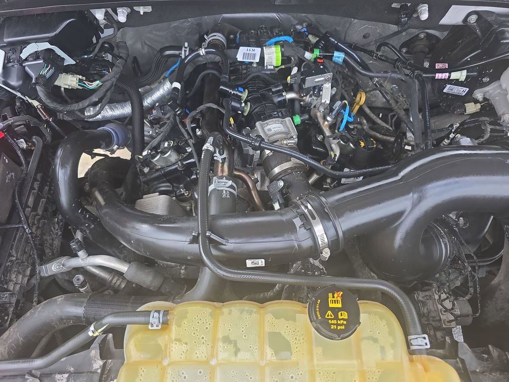 Used 2019 Ford F150 XL w/ Equipment Group 101A Mid image 38