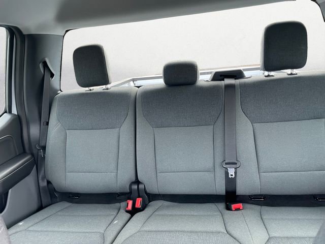 Used 2025 Ford F150 XLT w/ Equipment Group 301A Standard image 13