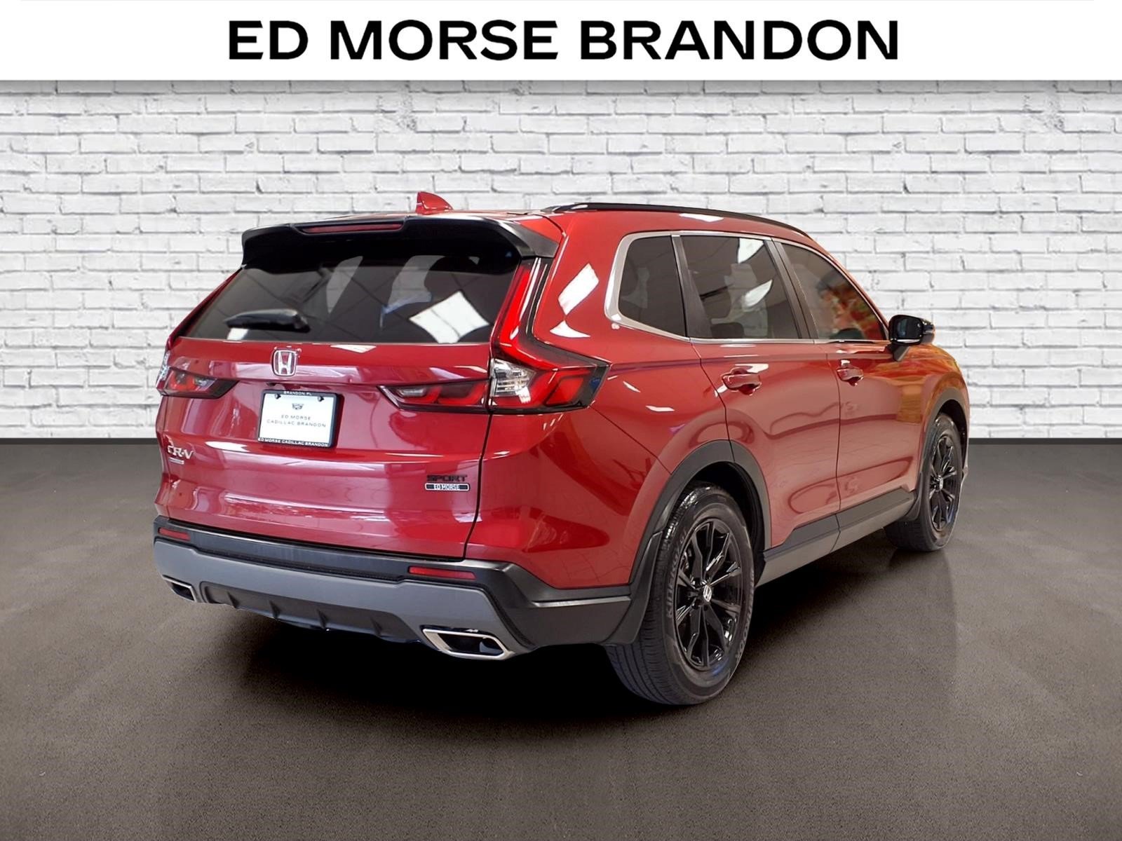 Used 2024 Honda CR-V Sport image 5