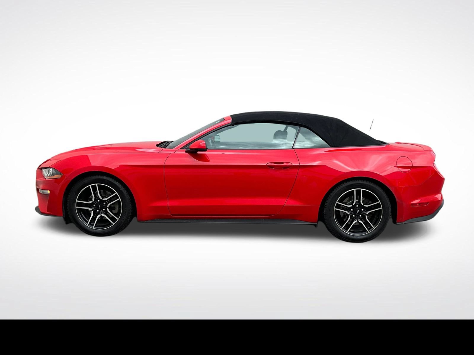 Used 2020 Ford Mustang Premium RWD image 14