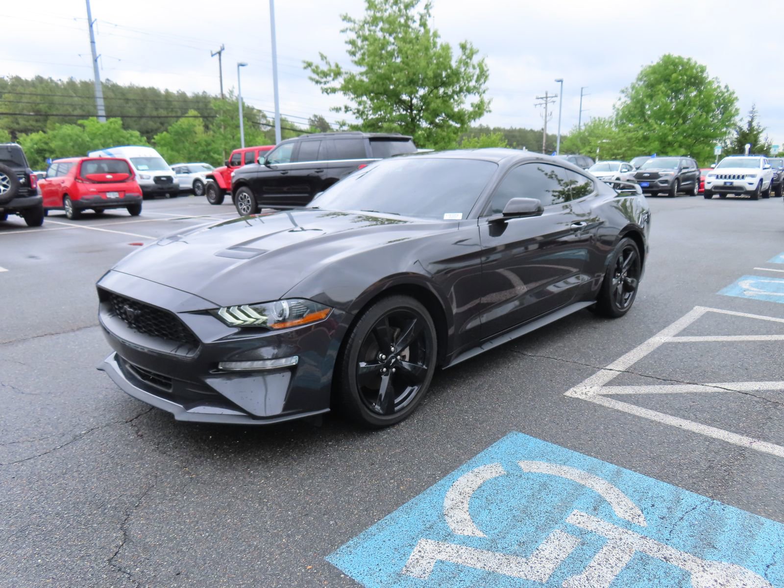Used 2023 Ford Mustang Premium w/ Equipment Group 201A RWD image 3