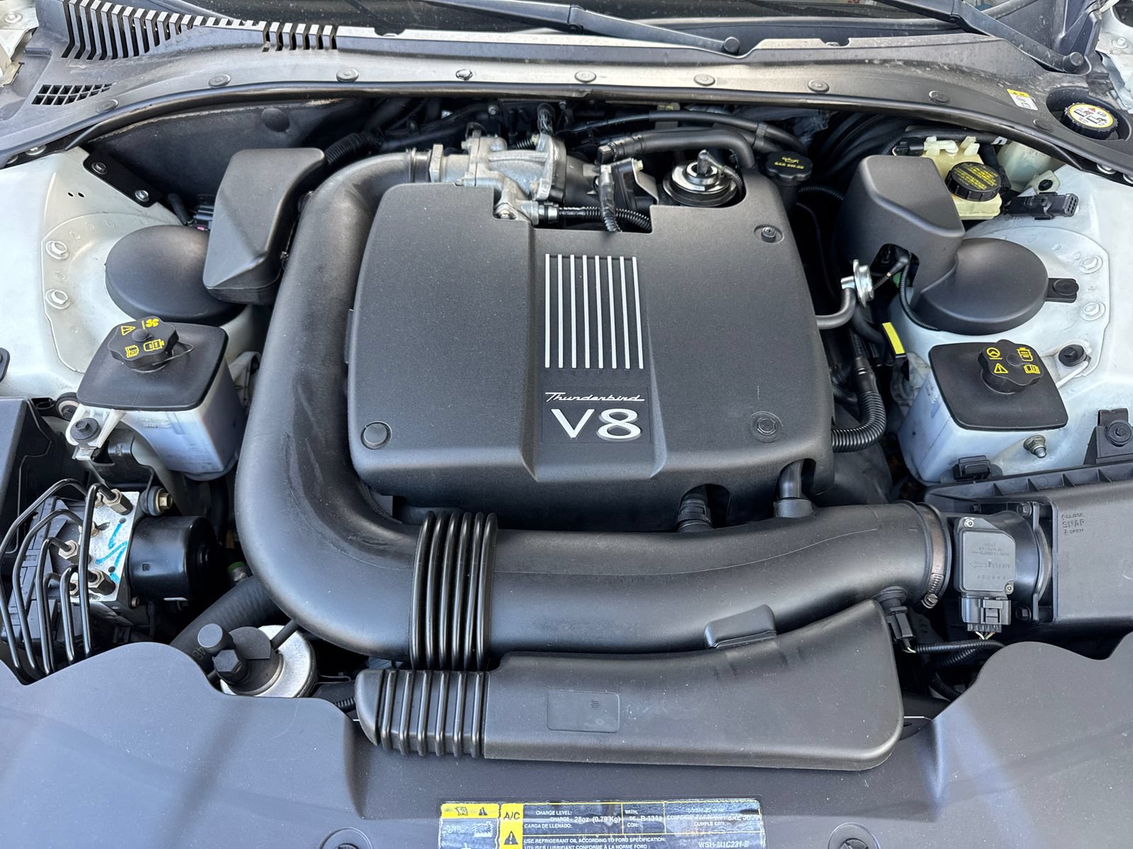Used 2002 Ford Thunderbird RWD image 7