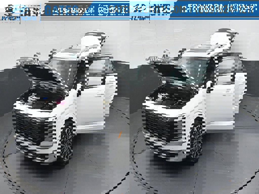 New 2026 Hyundai Palisade Calligraphy image 49