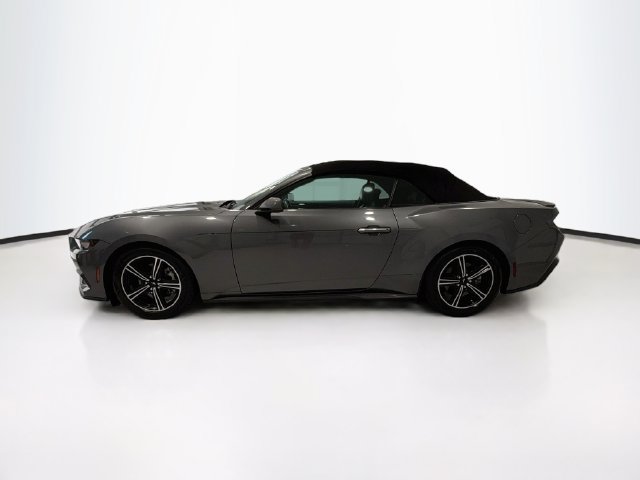 Used 2024 Ford Mustang Premium RWD image 4