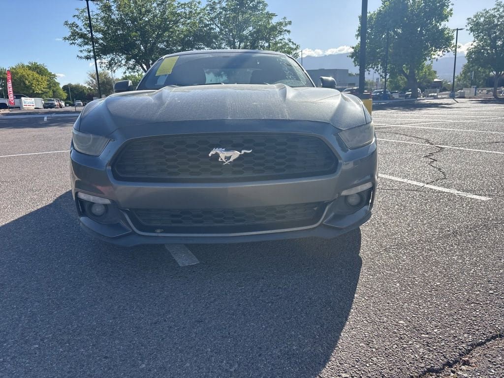 Used 2015 Ford Mustang Premium w/ Ecoboost Performance Package RWD image 2
