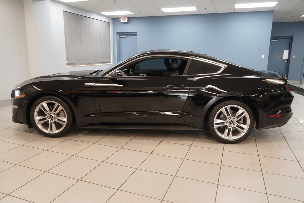 Used 2019 Ford Mustang Premium w/ Equipment Group 201A RWD image 2