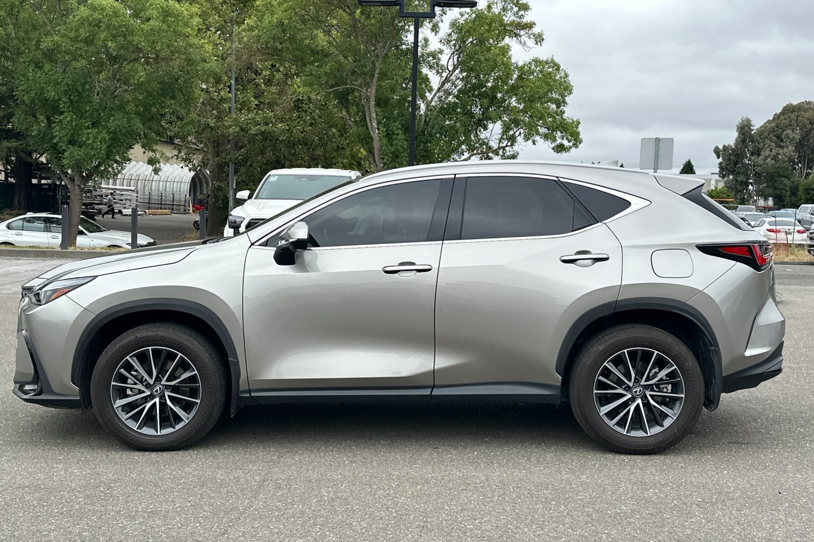 Used 2025 Lexus NX 350 AWD w/ Cold Area Package image 7