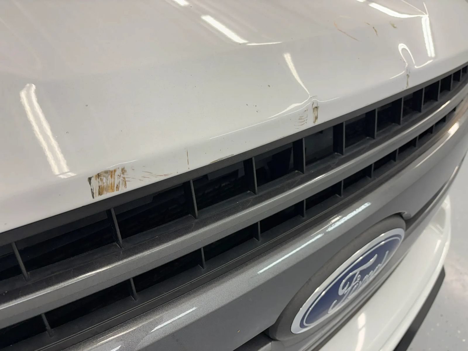 Used 2019 Ford F150 XLT w/ Equipment Group 302A Luxury AWD/4WD image 15