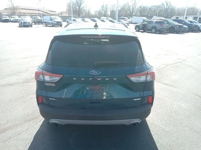 Used 2020 Ford Escape SEL image 6