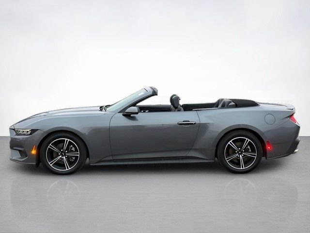 Certified 2025 Ford Mustang Premium image 6