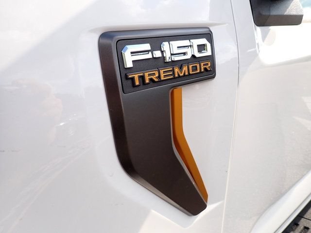 Used 2025 Ford F150 Tremor AWD/4WD image 14