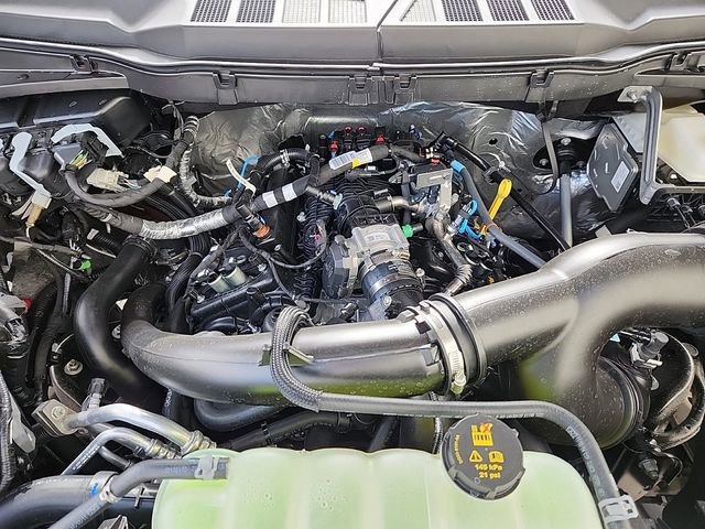 New 2025 Ford F150 STX w/ STX Black Appearance Package image 17