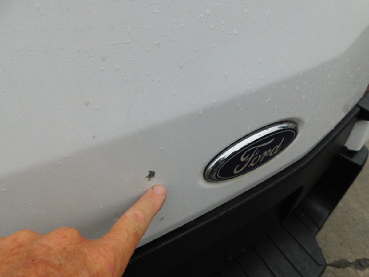 Used 2019 Ford Transit 250 130 Low Roof image 4