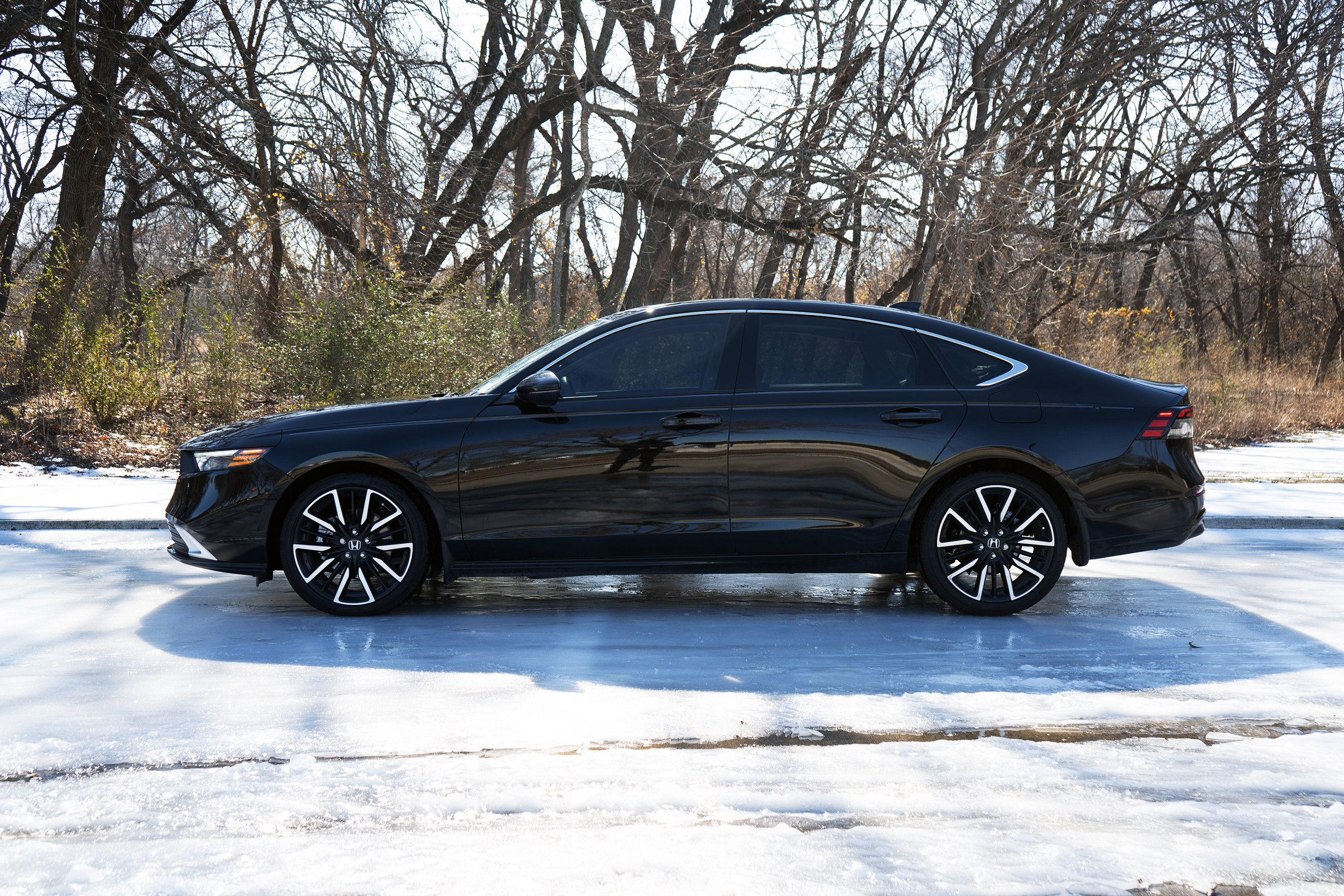 Certified 2025 Honda Accord Touring image 6