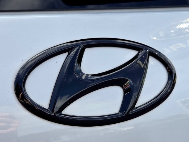 Used 2025 Hyundai Palisade Calligraphy AWD/4WD image 18