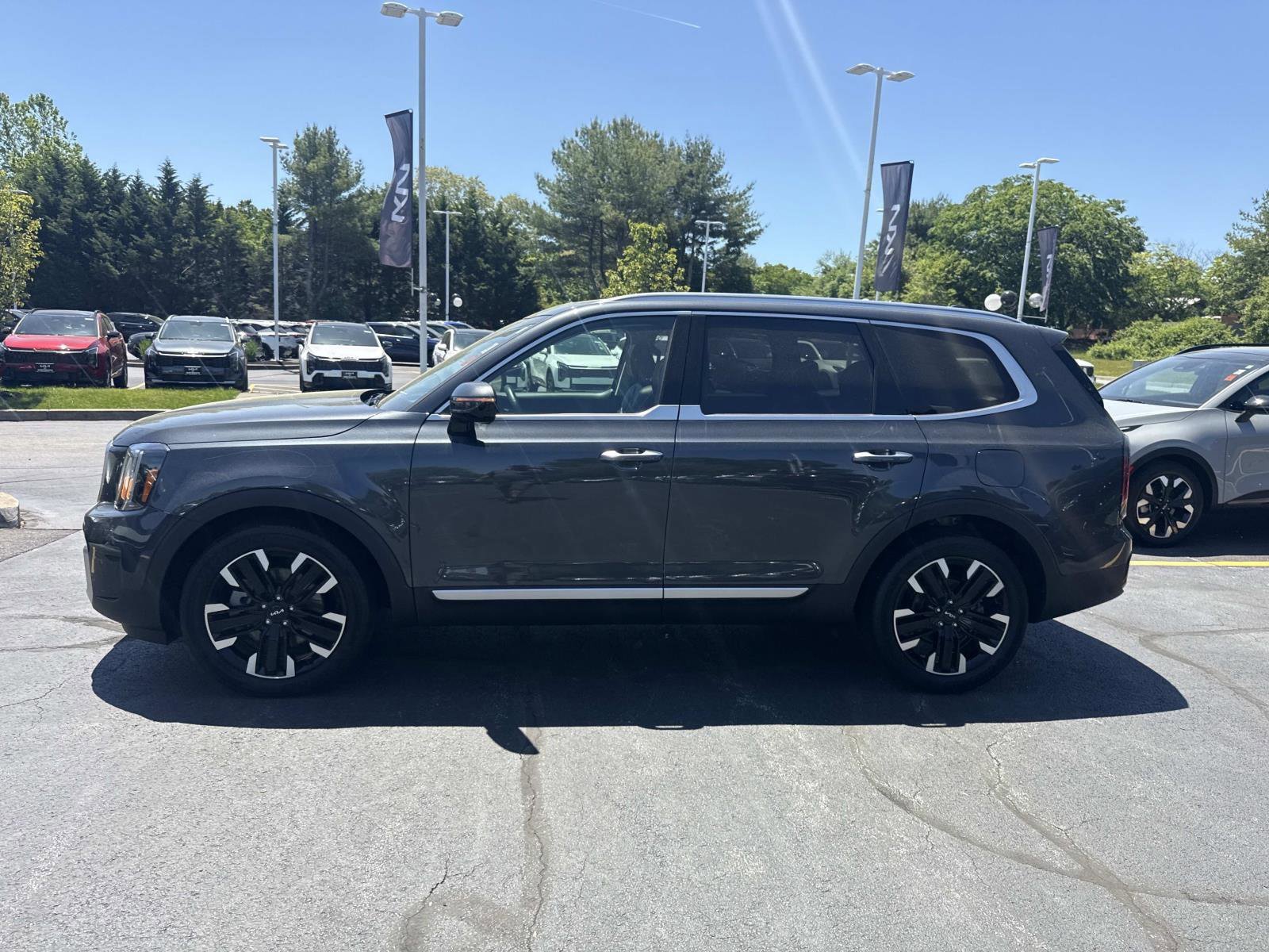 Used 2024 Kia Telluride SX Prestige AWD/4WD image 2