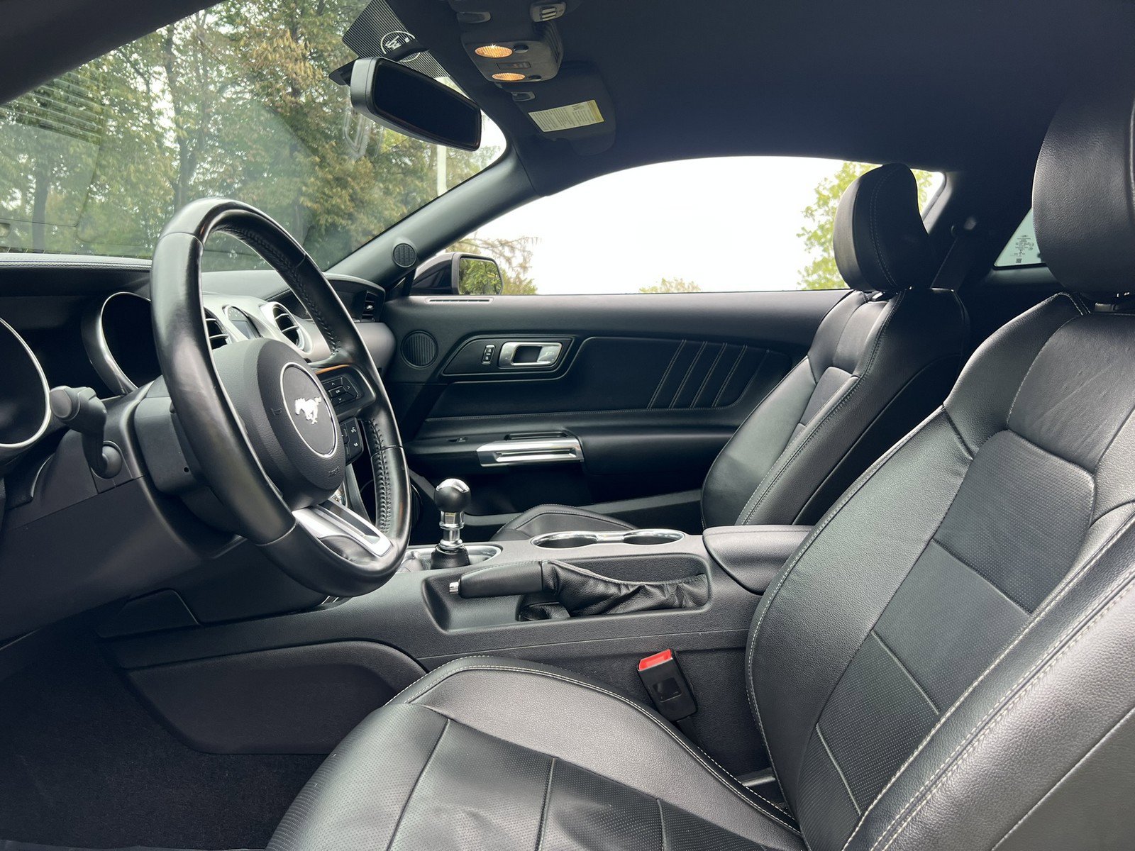 Used 2019 Ford Mustang GT Premium w/ Enhanced Security Package image 16