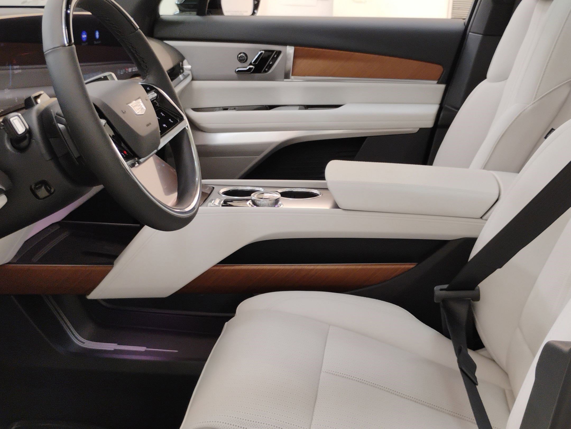 New 2026 Cadillac Vistiq Luxury image 5