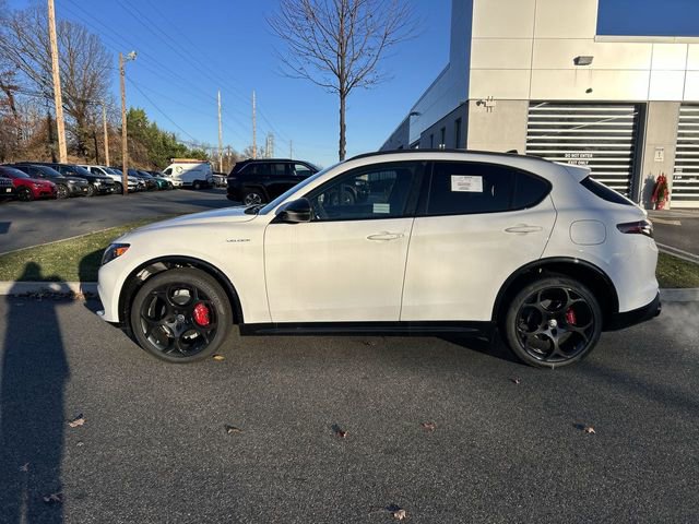 New 2025 Alfa Romeo Stelvio Sprint image 5