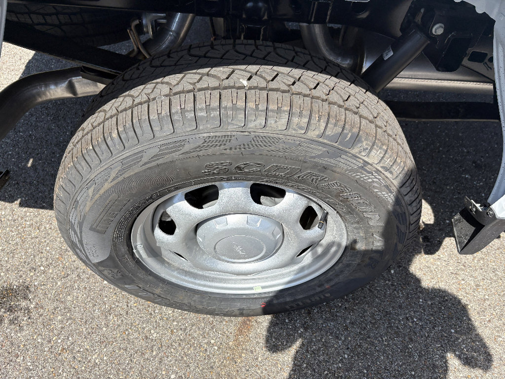 New 2026 Ford F150 XL image 11