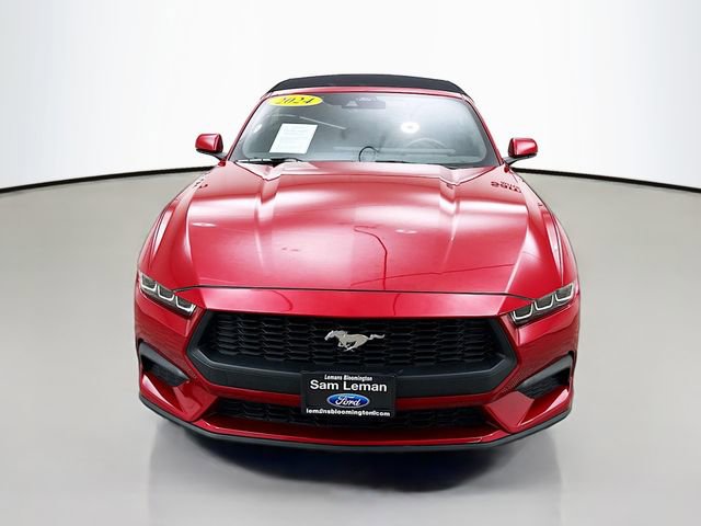Used 2024 Ford Mustang Premium image 2
