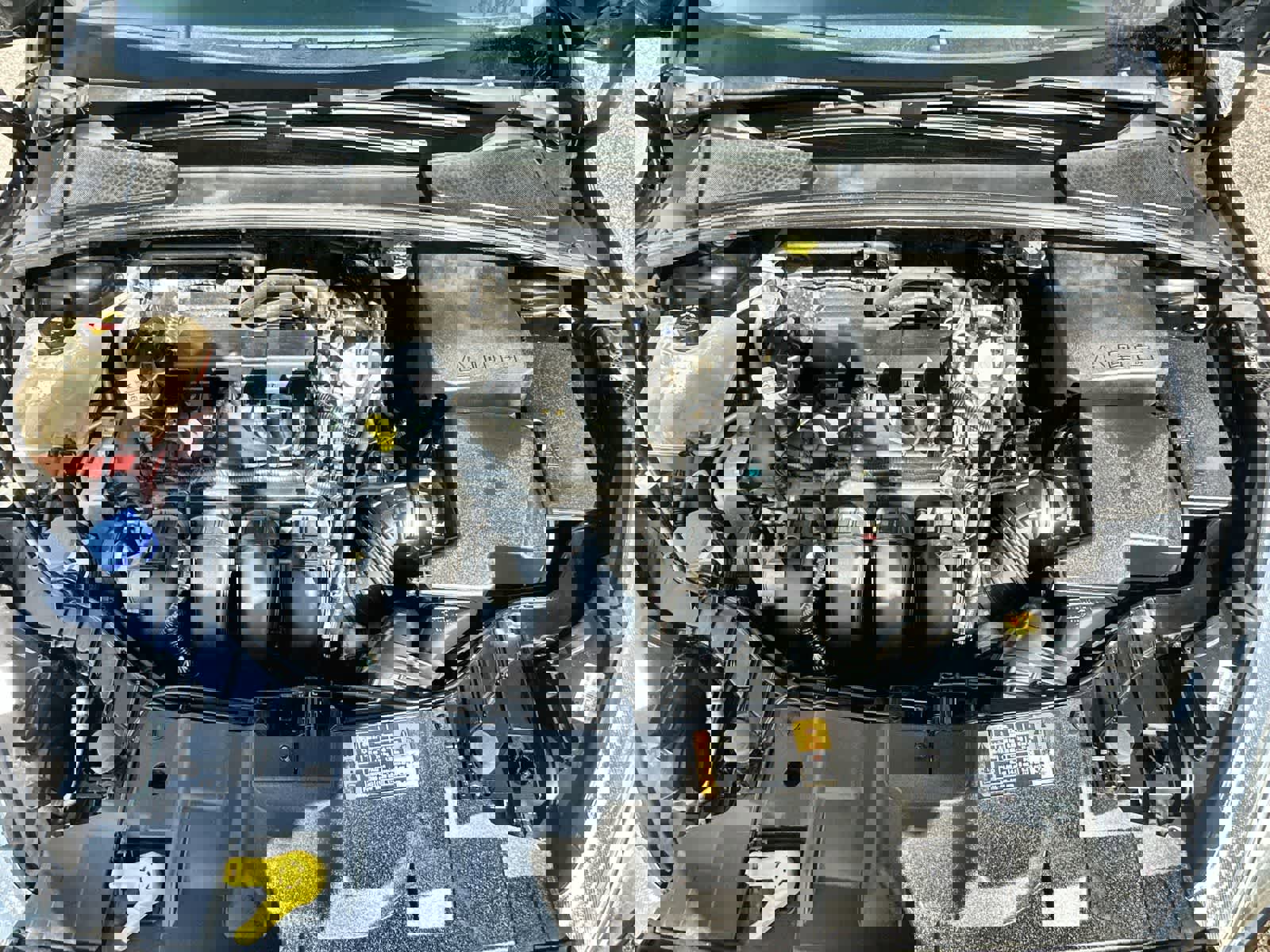 Used 2016 Ford Focus SE w/ SE Power Seat Package image 9