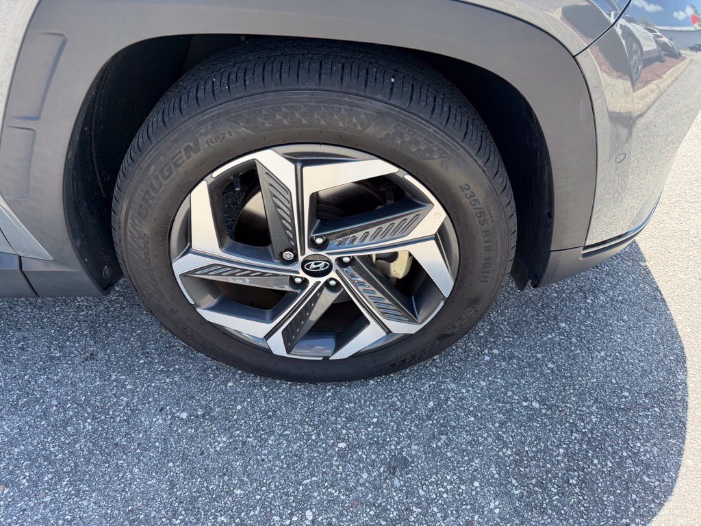 Used 2024 Hyundai Tucson Limited FWD image 4