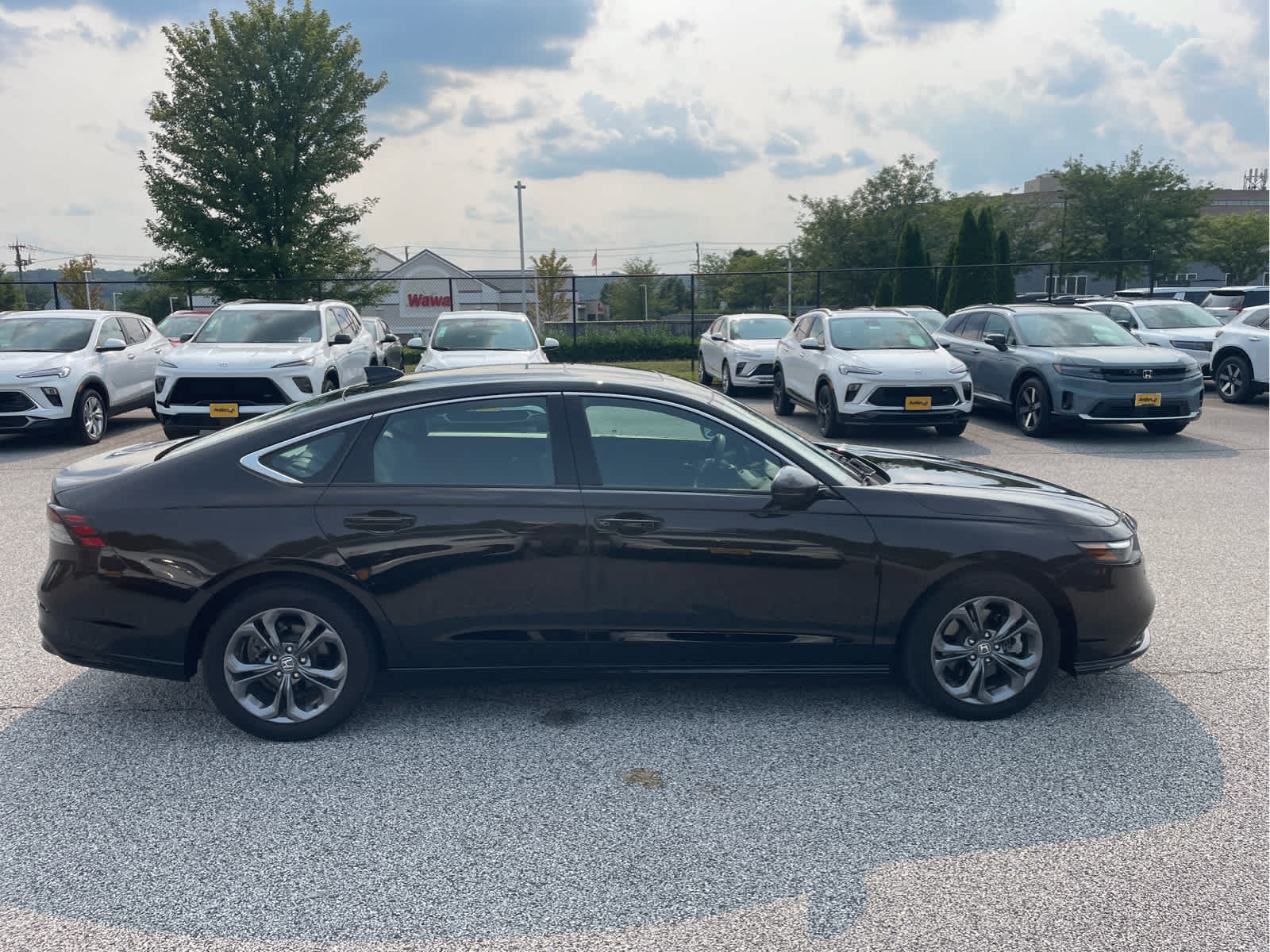 Used 2023 Honda Accord EX-L image 3