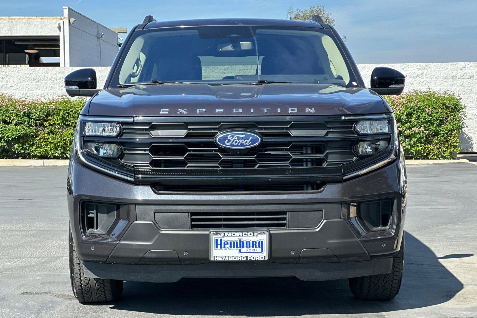 Used 2025 Ford Expedition Active image 9