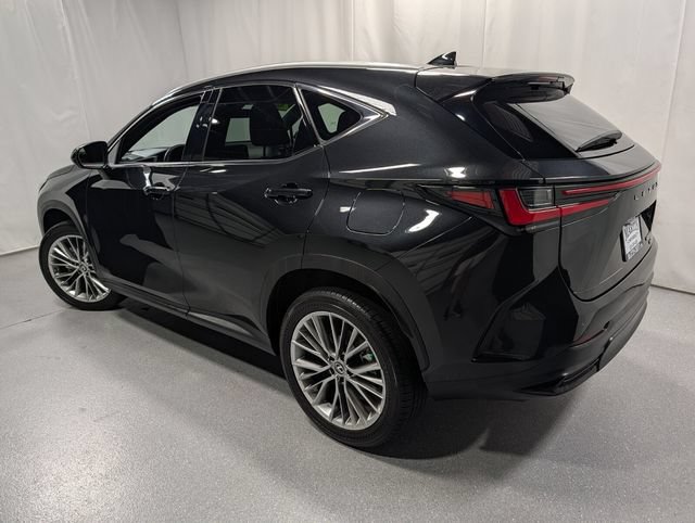 Used 2025 Lexus NX 350h AWD w/ Cold Area Package image 6