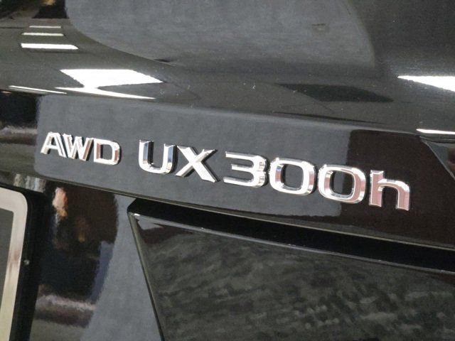New 2025 Lexus UX 300h AWD image 9