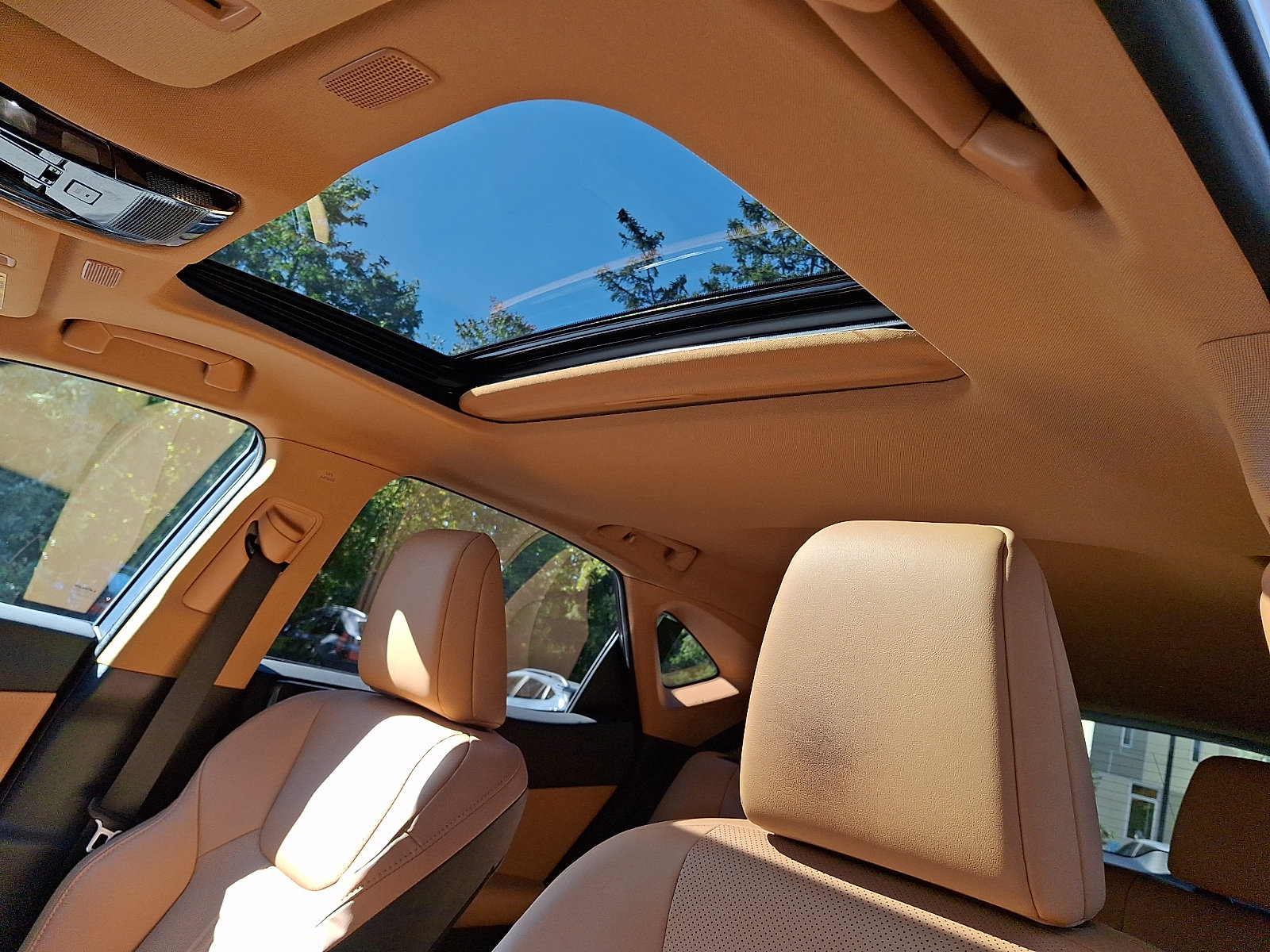 Certified 2025 Lexus NX 350 AWD w/ Cold Area Package image 15