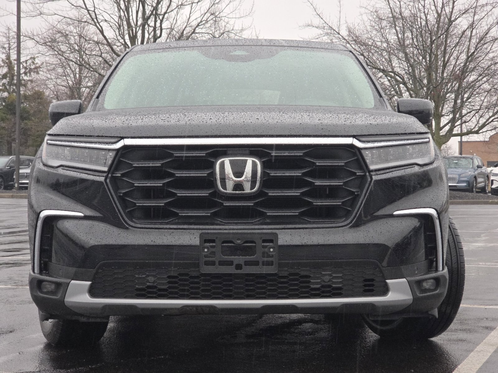 Certified 2025 Honda Pilot EX-L image 12