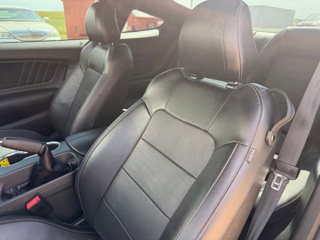 Used 2022 Ford Mustang GT Premium w/ Security Package RWD image 14