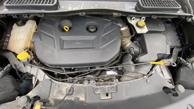 Used 2016 Ford Escape SE w/ Equipment Group 201A AWD/4WD image 28