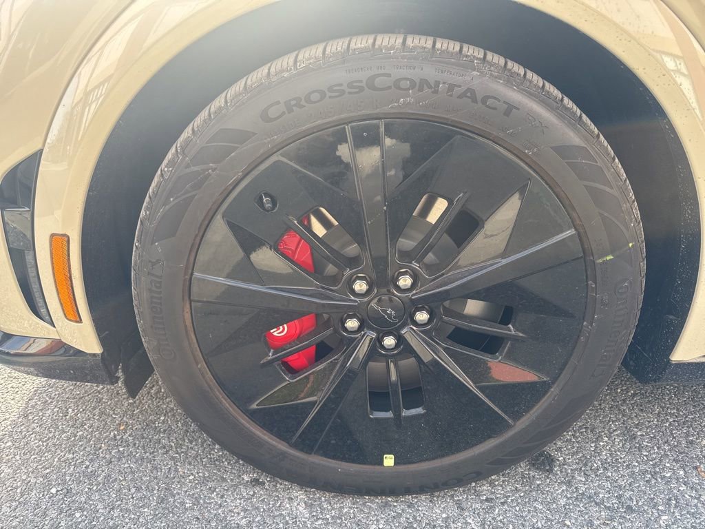 New 2025 Ford Mustang Mach-E GT w/ Interior Protection Package image 10