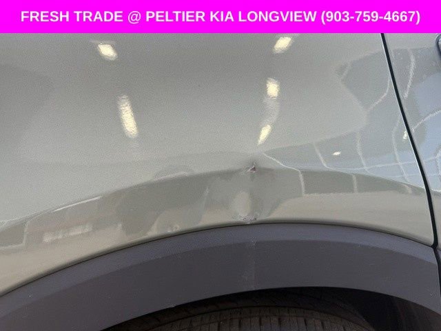Used 2024 Kia Telluride SX X-Line image 5