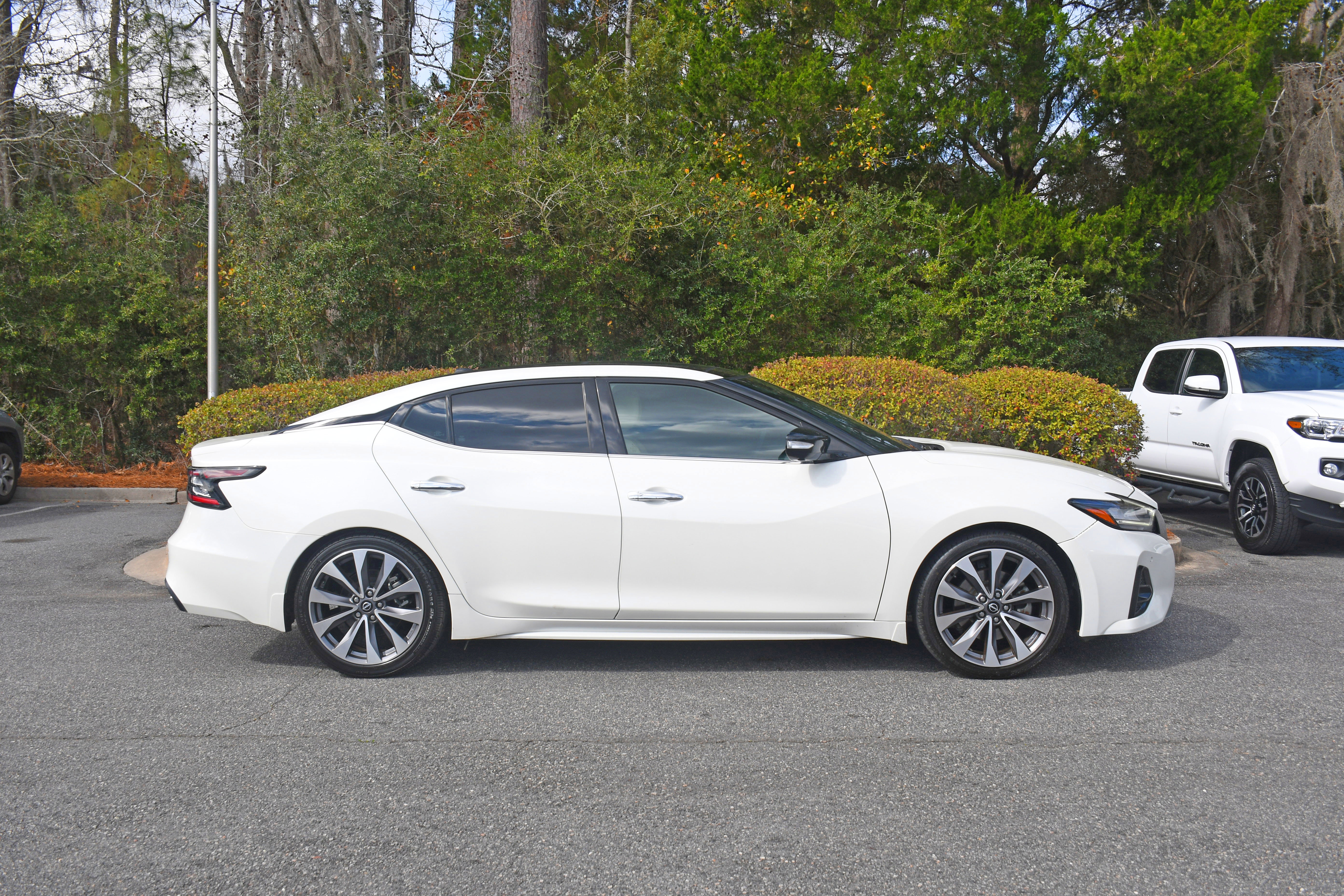 Used 2023 Nissan Maxima Platinum w/ Sport Mat Group image 5